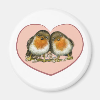 Twee robins magneet