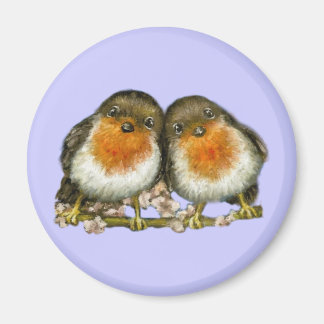 twee robins magneet