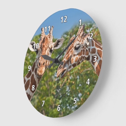 Twee roddelGiraffes Grote Klok (Hoek)