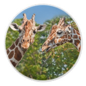 Twee roddelGiraffes Keramische Knop (Voorkant)