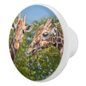 Twee roddelGiraffes Keramische Knop (Rechts)