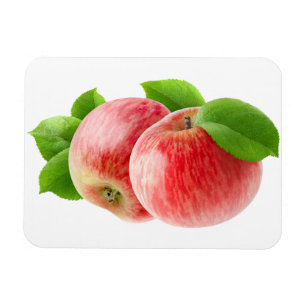 Twee rode appels magneet