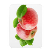 Twee rode appels magneet (Verticaal)