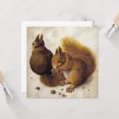 Twee rode eekhoorns (door Albrecht Dürer) Kaart (Voorkant / Achterkant in situ)