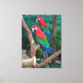 Twee rode en groene rode Macaws Ara chloropterus Canvas Afdruk (Voorkant)