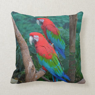 Twee rode en groene rode Macaws Ara Chloropterus Kussen