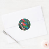 Twee rode en groene rode Macaws Ara chloropterus Ronde Sticker (Envelop)
