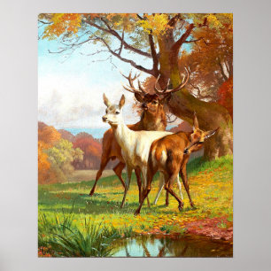 Twee rode en witte bier in het bos poster