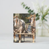 Twee rode rosse paarden briefkaart (Staand voorkant)