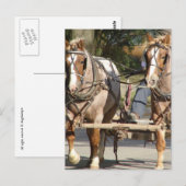 Twee rode rosse paarden briefkaart (Voorkant / Achterkant)