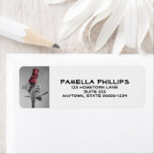 Twee rode Rozen | Fotografie stille levensloop Etiket (Insitu)