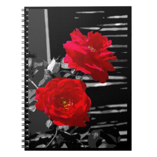TWEE RODE ROZEN NOTITIEBOEK (Voorkant)