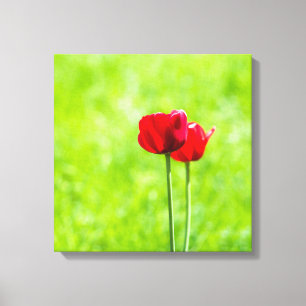 Twee rode tulpbloemen canvas afdruk