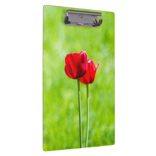 Twee rode tulpbloemen klembord (Rechts)