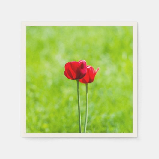 Twee rode tulpenbloemen servetten (Voorkant)