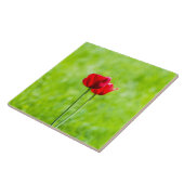 Twee rode tulpenbloemen tegeltje (Zijkant)