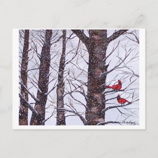 twee rode vogels in de winter, Copyright 2005 Briefkaart (Voorkant)
