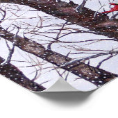 Twee rode vogels in de winter poster (Hoek)