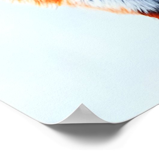 Twee rode vos in de sneeuw | AI Art Poster (Hoek)