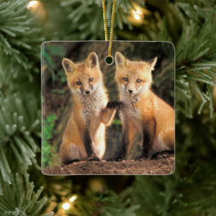 Twee rode vosjongens voor hun hol keramisch ornament