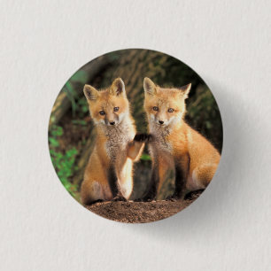 Twee rode vosjongens voor hun hol ronde button 3,2 cm