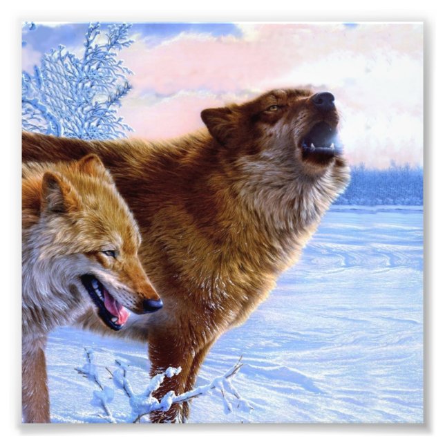 Twee rode wolven schilderen foto afdruk (Voorkant)