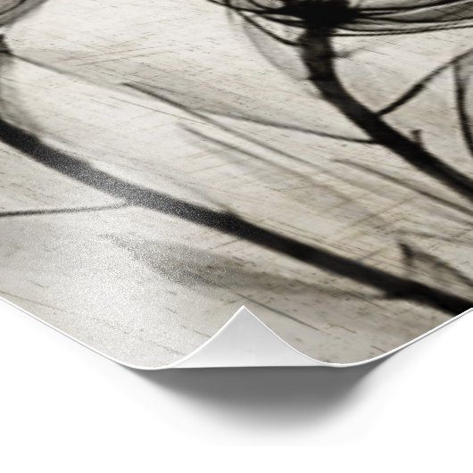 Twee  röntgenbloemen foto afdruk (Hoek)