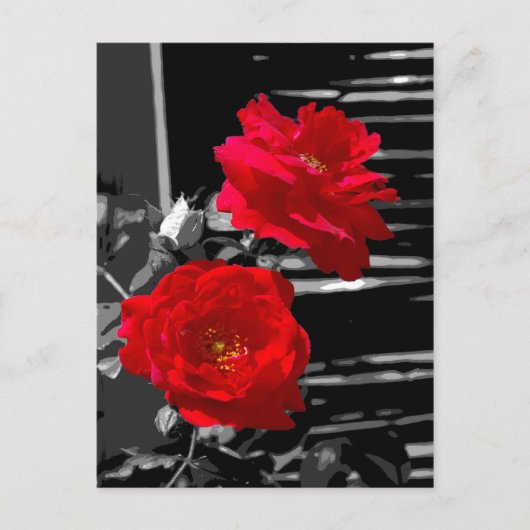 TWEE ROSES BRIEFKAART (Voorkant)