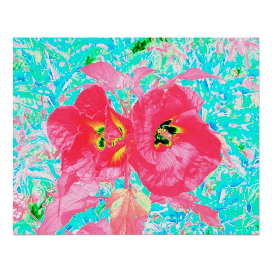 Twee Rosy Red Coral Plum Crazy Hibiscus op Aqua Perfect Poster (Voorkant)