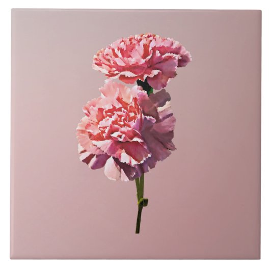 Twee roze anjers tegeltje (Voorkant)