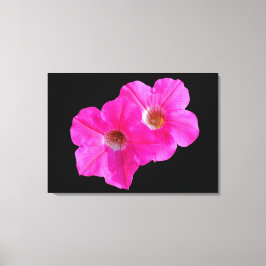 twee roze bloemen op zwarte achtergrond . canvas afdruk