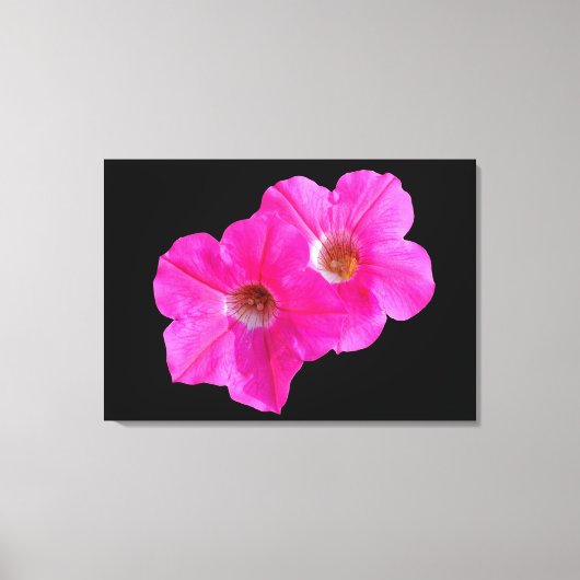 twee roze bloemen op zwarte achtergrond . canvas afdruk (Voorkant)