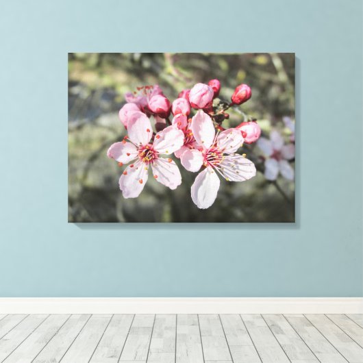 Twee roze bloesems die uitkomen. canvas afdruk (Insitu (Houten vloer))