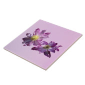 Twee Roze Clematis Tegeltje (Zijkant)
