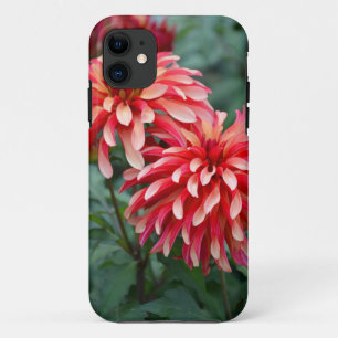 Twee roze dahlia bloemen iPhone 11 hoesje