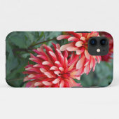 Twee roze dahlia bloemen Case-Mate iPhone case (Achterkant (horizontaal))