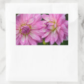 Twee roze dahlia bloemen rechthoekige sticker (Tas)