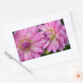 Twee roze dahlia bloemen rechthoekige sticker (Envelop)