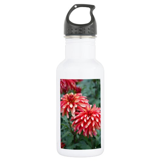 Twee roze dahlia bloemen waterfles (Voorkant)