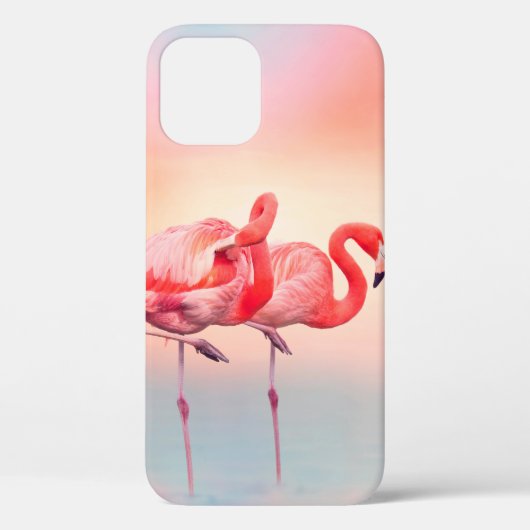 Twee roze flamingos in het water bij sunsetflaming Case-Mate iPhone case (Achterkant)