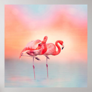Twee roze flamingos in het water bij sunsetflaming poster