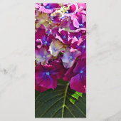 Twee Roze Hortensia Menu (Achterkant)