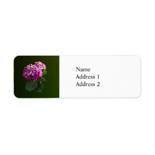 Twee roze hydrangea etiket
