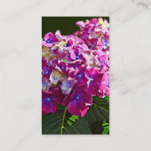 Twee roze hydrangea visitekaartje (Achterkant)