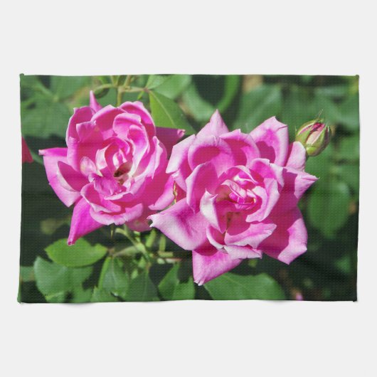 Twee roze keukenhanddoeken voor rozen (Horizontaal)