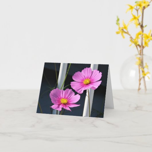 Twee Roze Kosmos door de Railing Kaart (Gele Bloem)