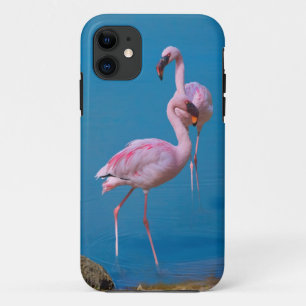 Twee roze lamingos iPhone 11 hoesje