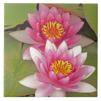 "TWEE ROZE LOTUSBLOEMEN" decoratieve tegel Tegeltje