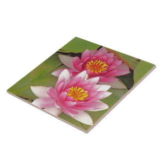 "TWEE ROZE LOTUSBLOEMEN" decoratieve tegel Tegeltje