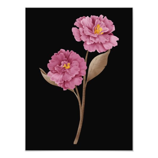 Twee Roze Pioenrozen Foto Afdruk (Voorkant)